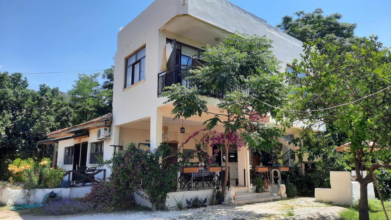 Teo Hotel&Pansion Cirali Exterior photo